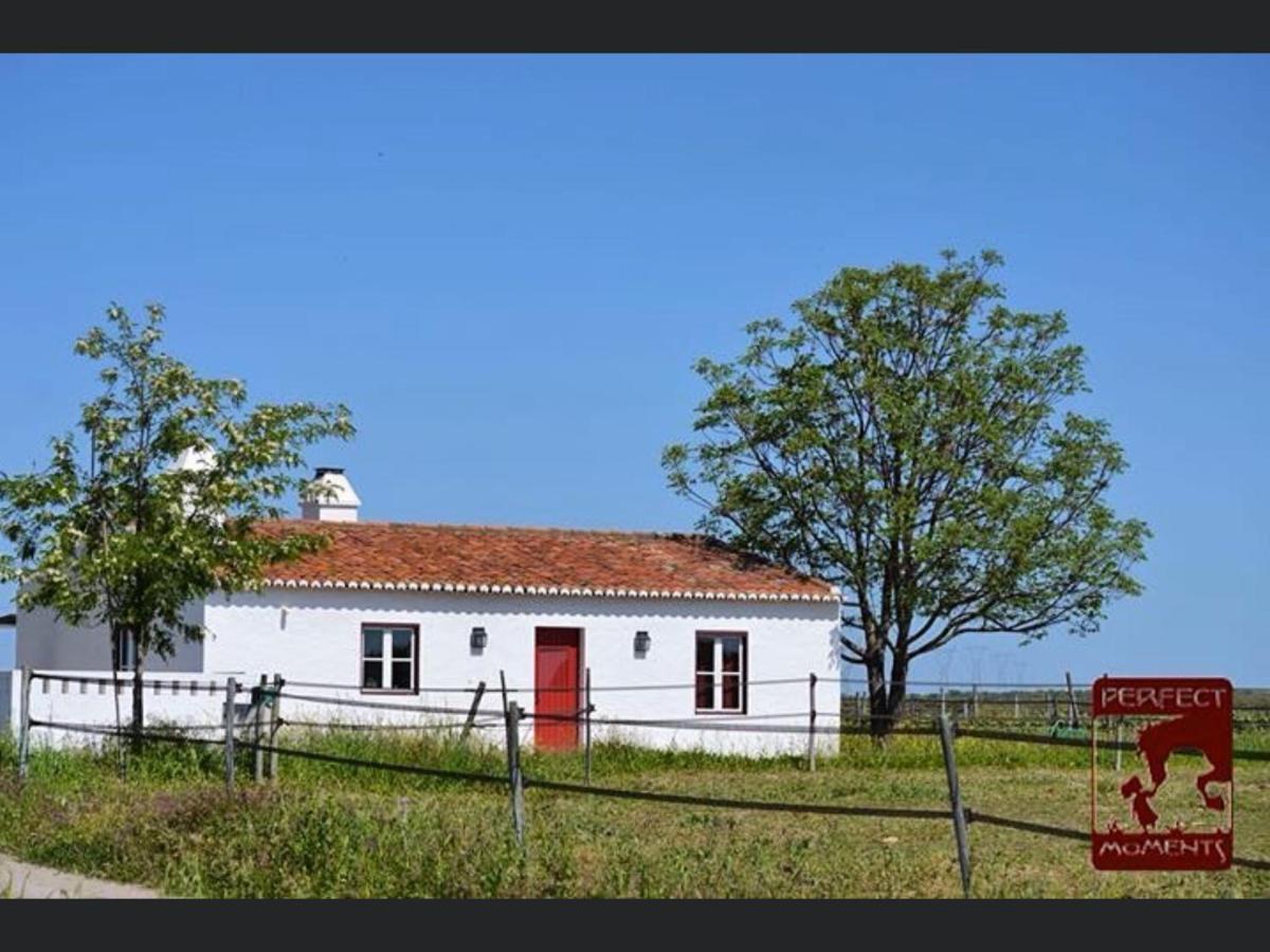 فيلا Monte Da Boavista - Country Family House Alter do Chão المظهر الخارجي الصورة